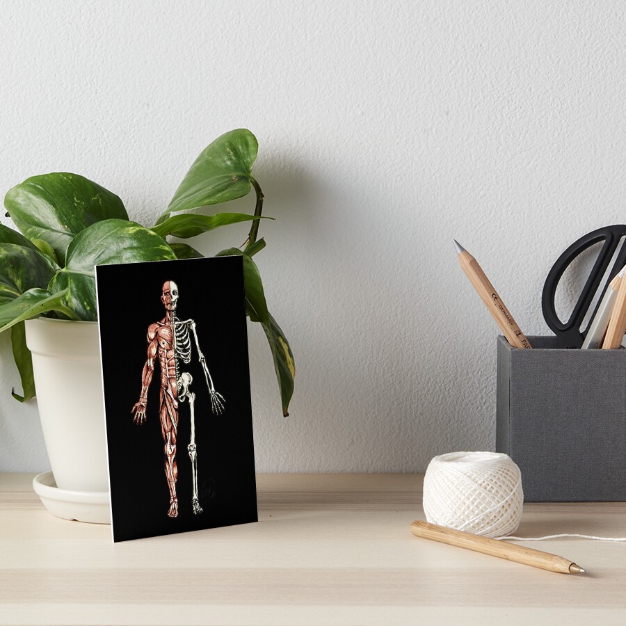 "Half Muscle Half Skeleton" Art Board Print for Sale by MVanHyll