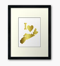 Gold Nova Scotia Framed Print