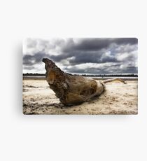 Desolate Canvas Print