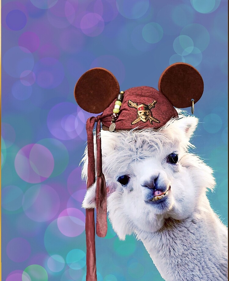 Johnny Depp It s Alpaca Day Funny photo of Pirates of the Caribbean Disney ears hat on an alpaca. iPad Case Skin