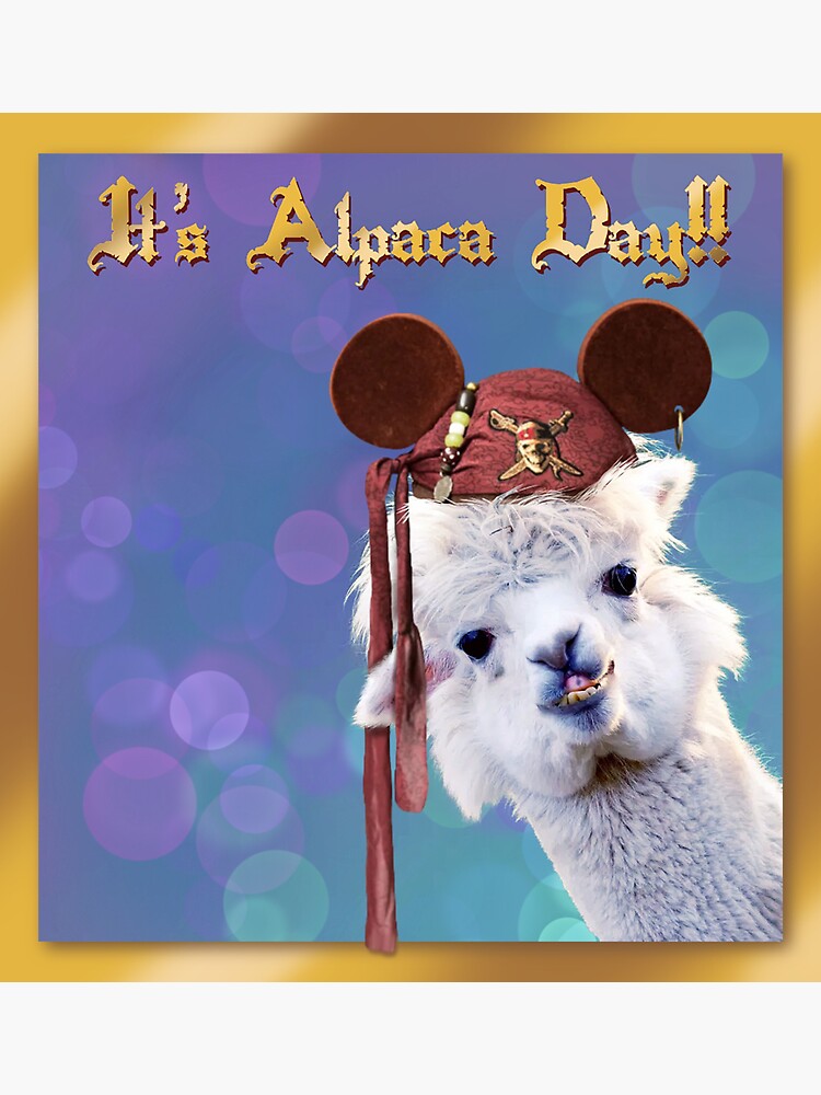 Johnny Depp It s Alpaca Day Funny photo of Pirates of the Caribbean Disney ears hat on an alpaca. Sticker