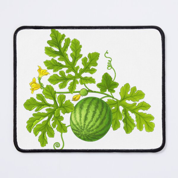 Item preview, Watermelon Fruit Plant and Blossom designed and sold by silviaol.