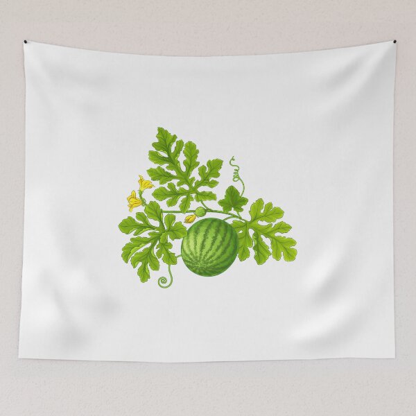 Item preview, Watermelon Fruit Plant and Blossom designed and sold by silviaol.