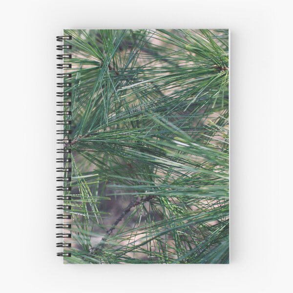 Item preview, Simple Pine Needle Closeup designed and sold by RoseyElisabeth.