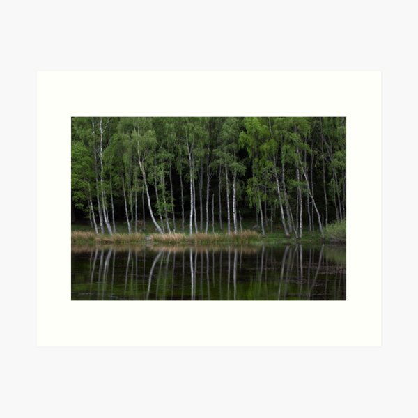 lochan, cambus o'may Art Print