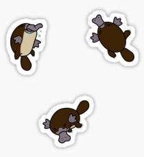Platypus! Sticker