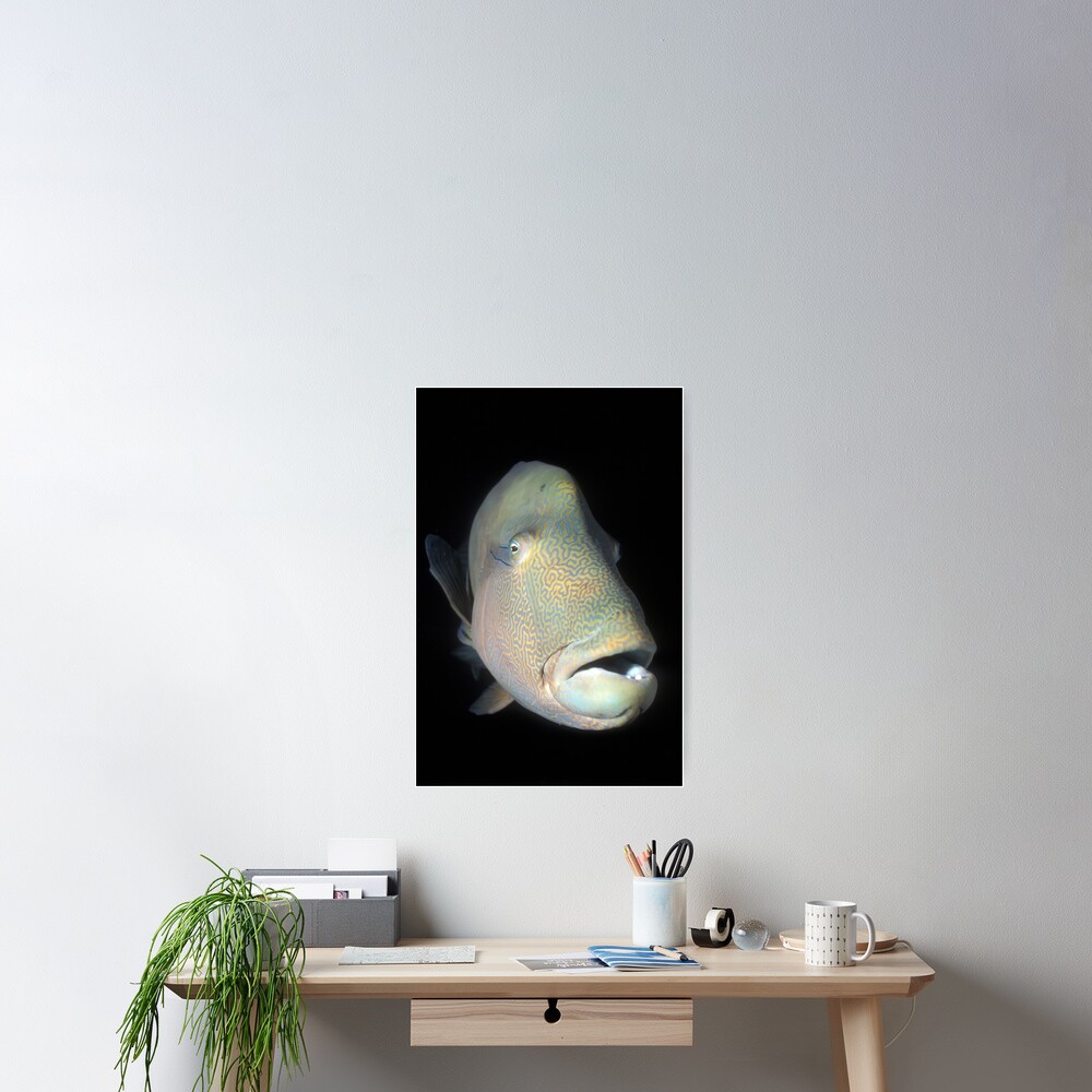 Tatoo Poster