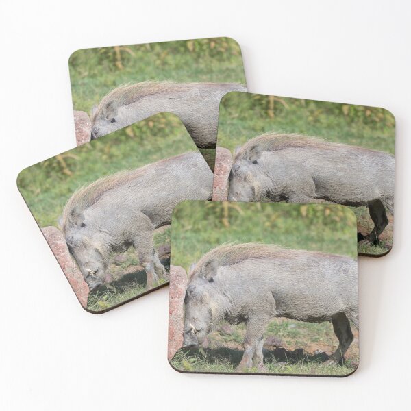 Item preview, Female Warthog (Phacochoerus africanus) designed and sold by Yair Karelic.