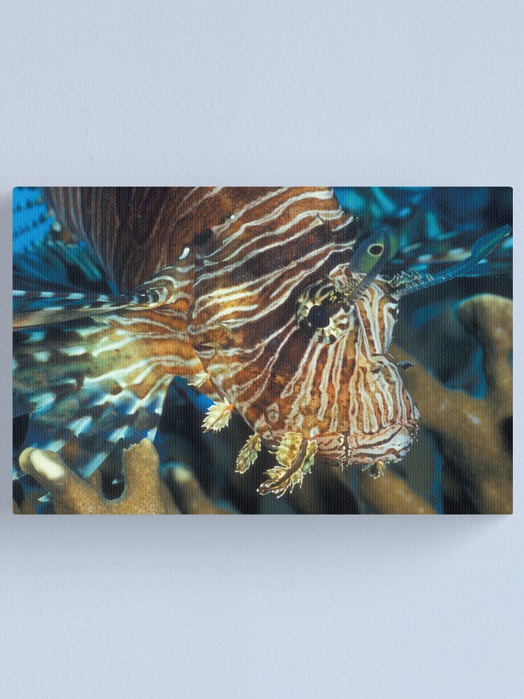 Alternate view of Lionfish Canvas Print