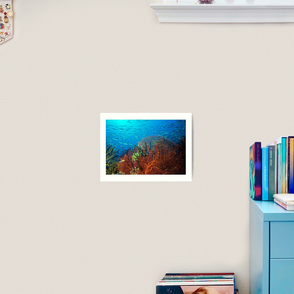 Solomons reef scene Art Print