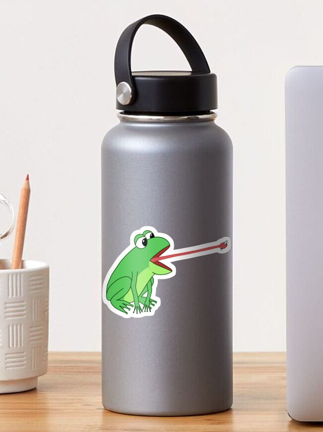 Rip It! Frog Stainless Steel Water Bottle – My Fingers Fly