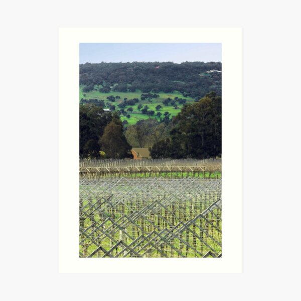 Swan Valley Winery Art Print