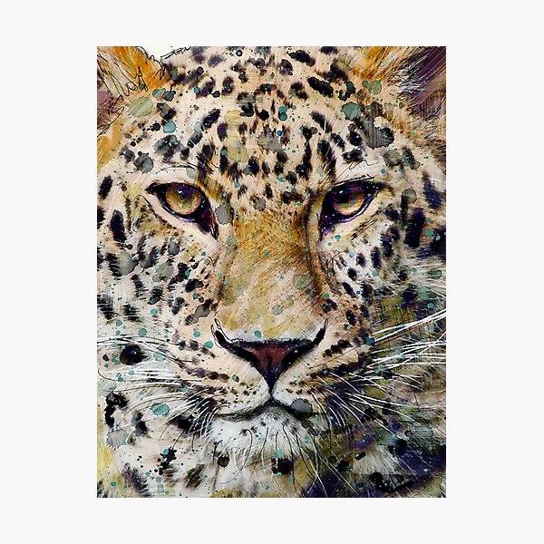 Leopard Photographic Print