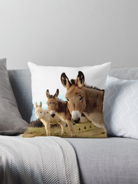 Item preview, Donkey Trio designed and sold by Garrett Whitlock.