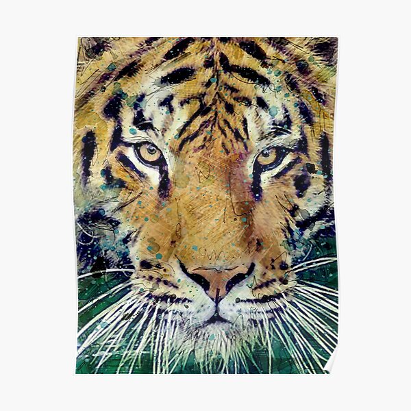 Tiger Poster