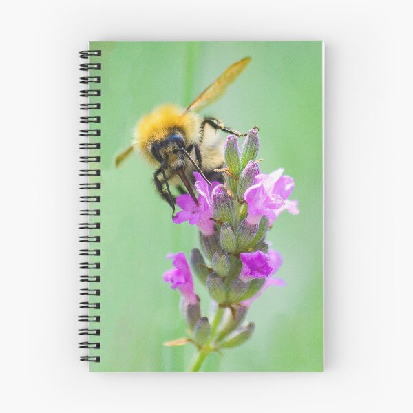Item preview, Bee Happy designed and sold by HumanistHan.