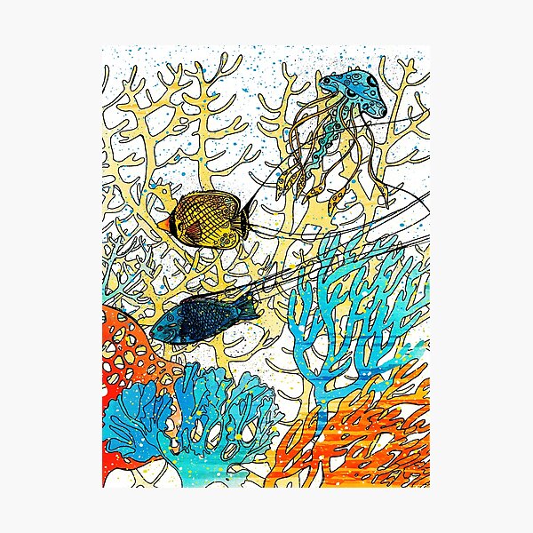 Coral Reef2 Photographic Print