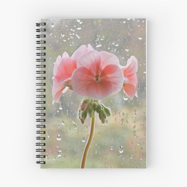 Item preview, Pink Pelargonium in a Rainy Window designed and sold by MikeSquires.