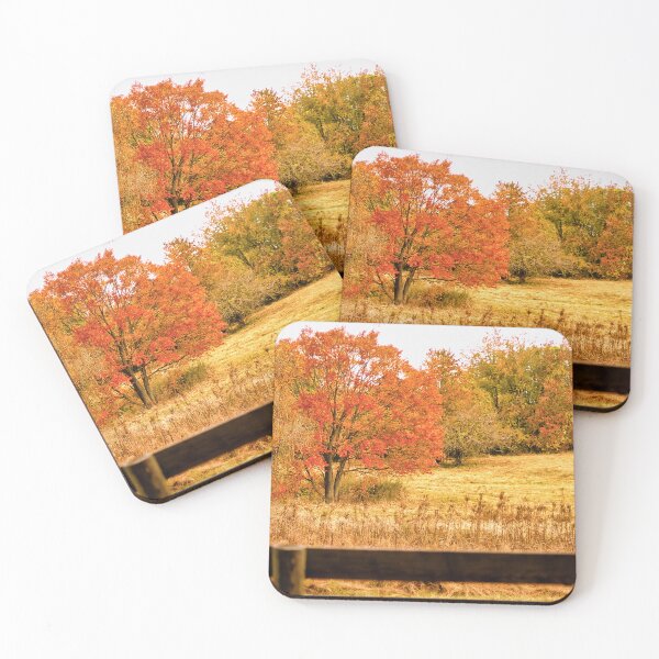 Item preview, Changing Seasons of Chester County designed and sold by Susan Maxwell Schmidt.