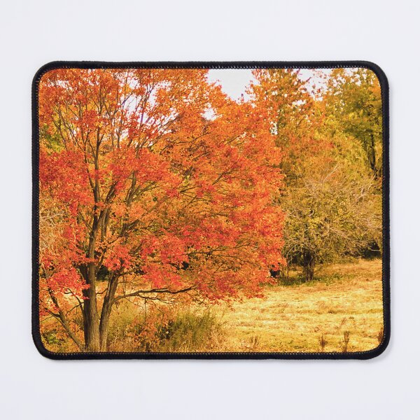 Item preview, Changing Seasons of Chester County designed and sold by Susan Maxwell Schmidt.