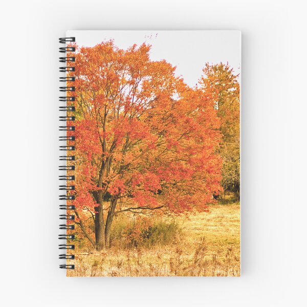 Item preview, Changing Seasons of Chester County designed and sold by Susan Maxwell Schmidt.