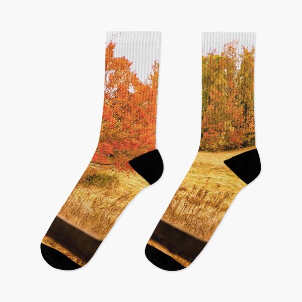 Item preview, Changing Seasons of Chester County designed and sold by Susan Maxwell Schmidt.
