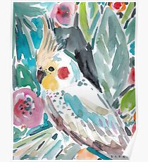 PARASOL THE COCKATIEL Poster