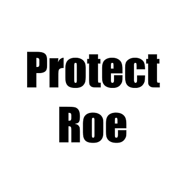 Artwork thumbnail, Protect Roe 1973 by BookwormSticker
