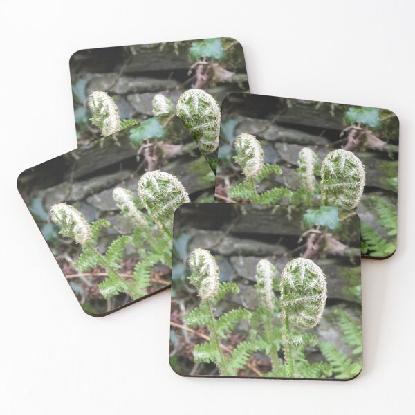 Item preview, ferns designed and sold by KathleenDawson.