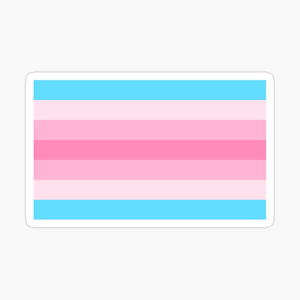Transgender Trans Pride Flag Original Blue Pink White Home Business Office  Sign - Poster - 24 x 36 (61cm x 91cm)