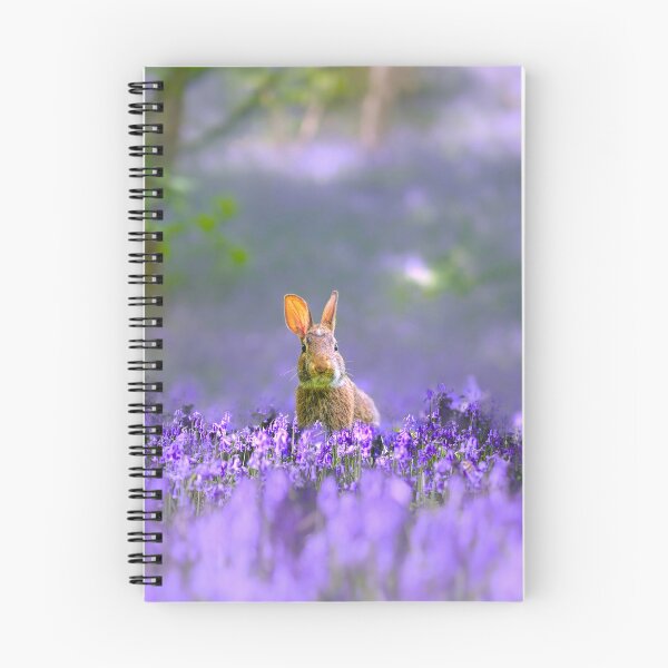 Item preview, Rabbit In The Bluebell Wood designed and sold by Alisonchambers2.