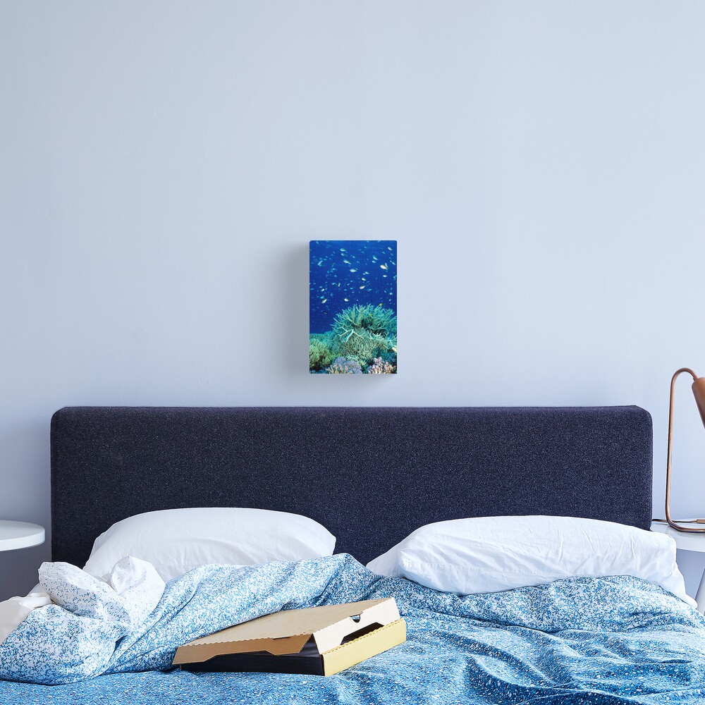 Coral reef scene Canvas Print