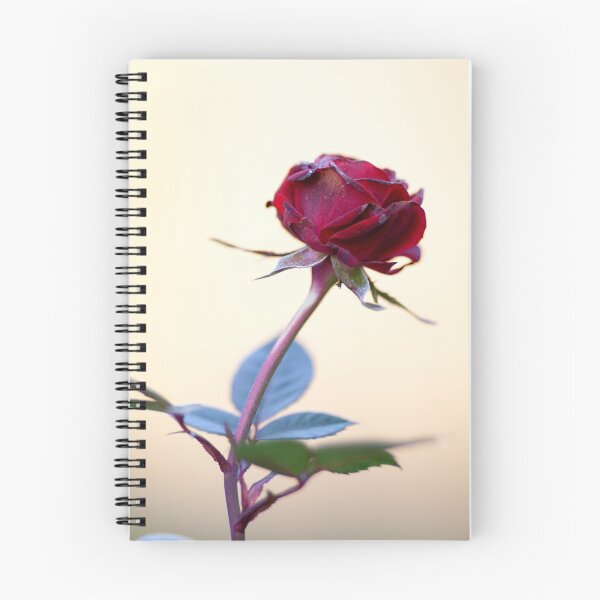 Item preview, Morning Rose designed and sold by AllanDavisJr.
