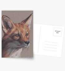 Sunlit Fox Postcards