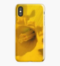 Daffodil iPhone Case/Skin