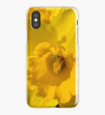 Daffodil iPhone Case/Skin