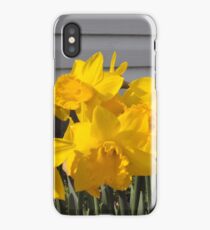 Daffodils iPhone Case/Skin