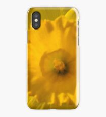 Daffodil iPhone Case/Skin