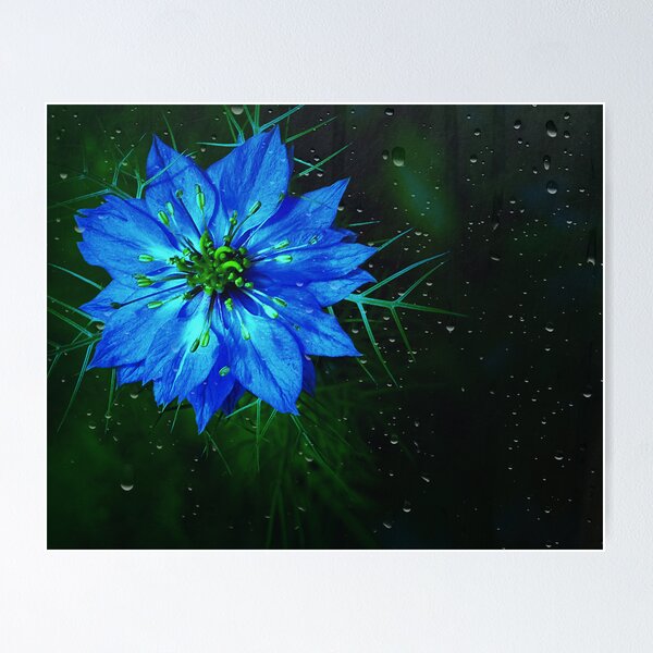 Item preview, Bleu . . . designed and sold by Rosalie Dale.