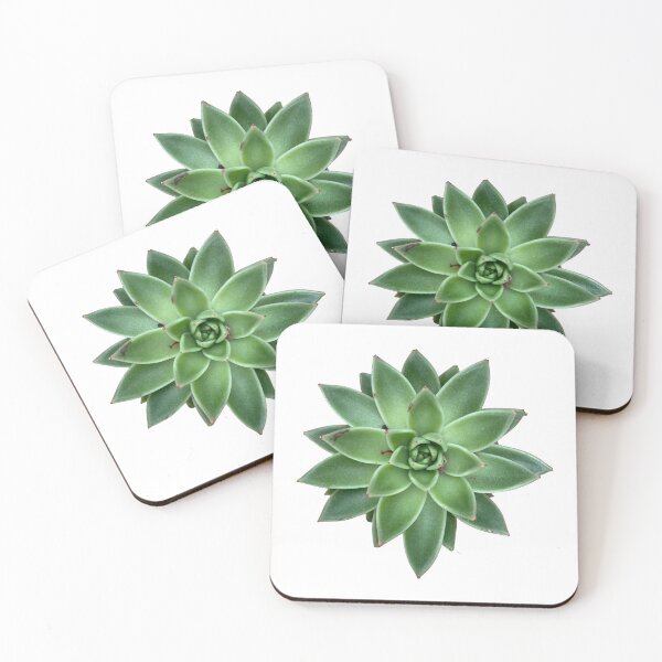 Item preview, Succulent  designed and sold by Rocklights.