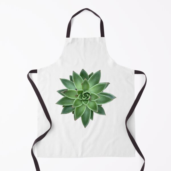Item preview, Succulent designed and sold by Rocklights.