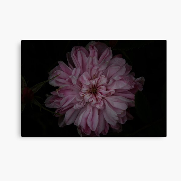 The Deep Canvas Print