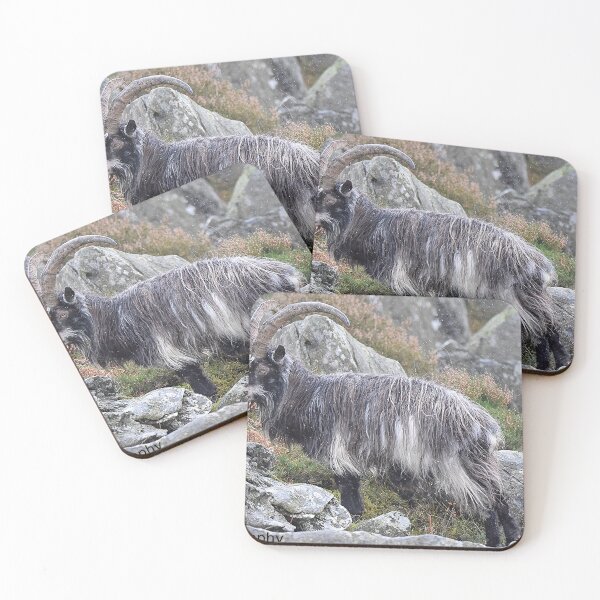 Item preview, Welsh Mountain Goat designed and sold by Derren Jones.