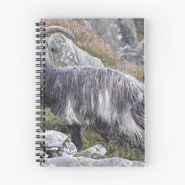 Item preview, Welsh Mountain Goat designed and sold by Derren Jones.