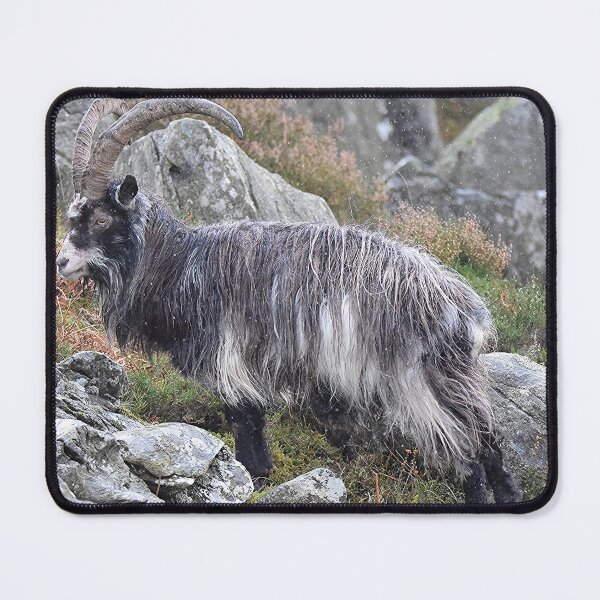 Item preview, Welsh Mountain Goat designed and sold by Derren Jones.