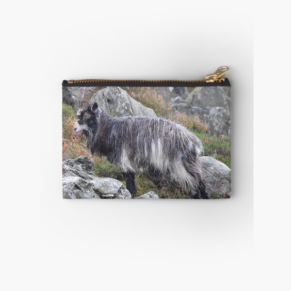 Item preview, Welsh Mountain Goat designed and sold by Derren Jones.