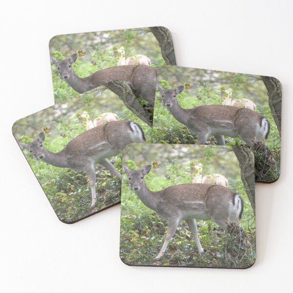 Item preview, Fallow Deer designed and sold by Derren Jones.