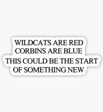 HSM Sticker