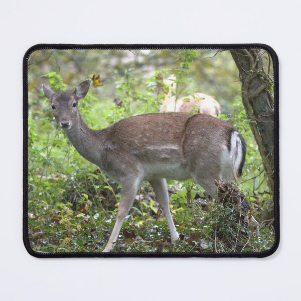 Item preview, Fallow Deer designed and sold by Derren Jones.