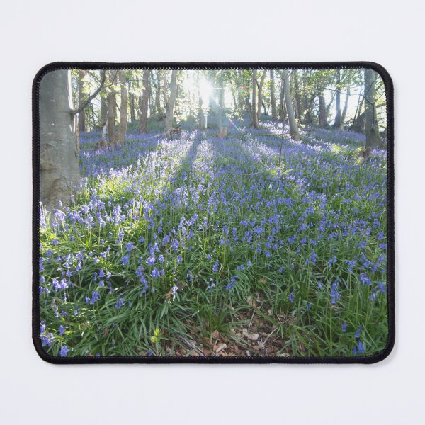 Item preview, Bluebell Woods designed and sold by Derren Jones.